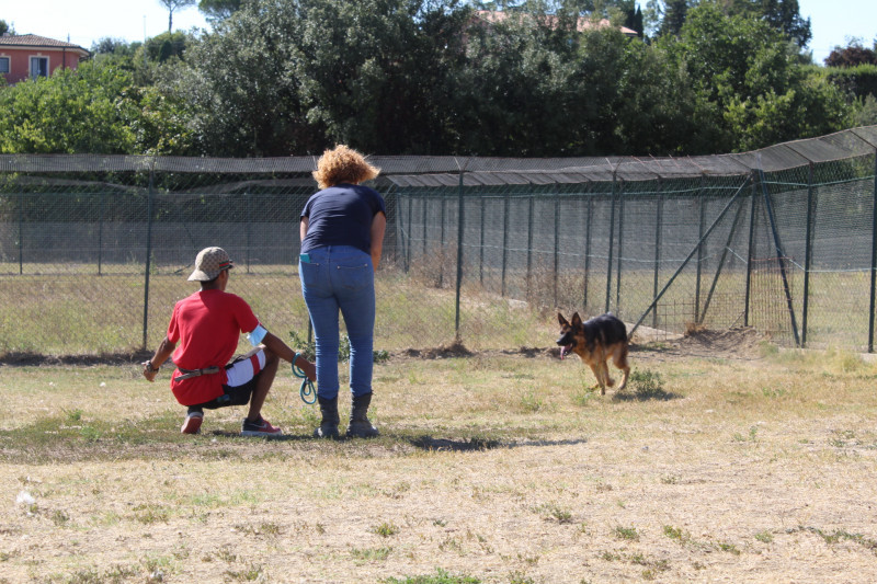 ASSEGNATI I PRIMI INCARICHI DI COLLABORAZIONE IN QUALITÀ DI “ASSISTENTI DI CAMPO IN CANILE” A 5 GIOVANI RAGAZZI CHE SI SONO DISTINTI DURANTE IL PERIODO DI “MESSA ALLA PROVA”.