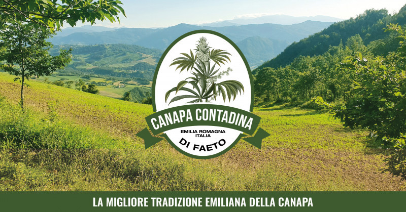 Il progetto nasce dall'amore per la canapa, pianta spesso definita “il dono di Dio per l’umanità”: con la capacità di produrre risorse vitali come corda, vestiti e carta, la pianta ha avuto un ruolo cruciale in tutta la nostra Storia. Le prove archeologiche suggeriscono che l'abbiamo usata sin dall'8000 a.C., facendola così diventare la prima pianta mai coltivata. 