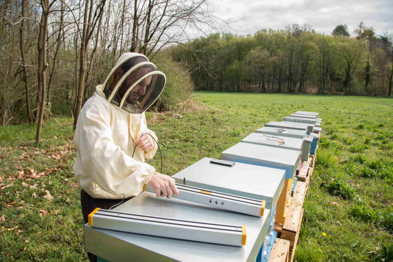 Le Oasi della Biodiversità rappresentano un ulteriore servizio per la protezione della biodiversità e delle api e riportano l’attenzione verso un obiettivo concreto, che 3Bee si propone di raggiungere entro il 2023: la piantumazione di 100.000 alberi autoctoni che daranno scorte di nettare a sufficienza ogni anno a un equivalente di circa 3.500 alveari, ovvero il numero di arnie monitorate da 3Bee, assorbendo circa 10 mila tonnellate di CO2 all’anno.