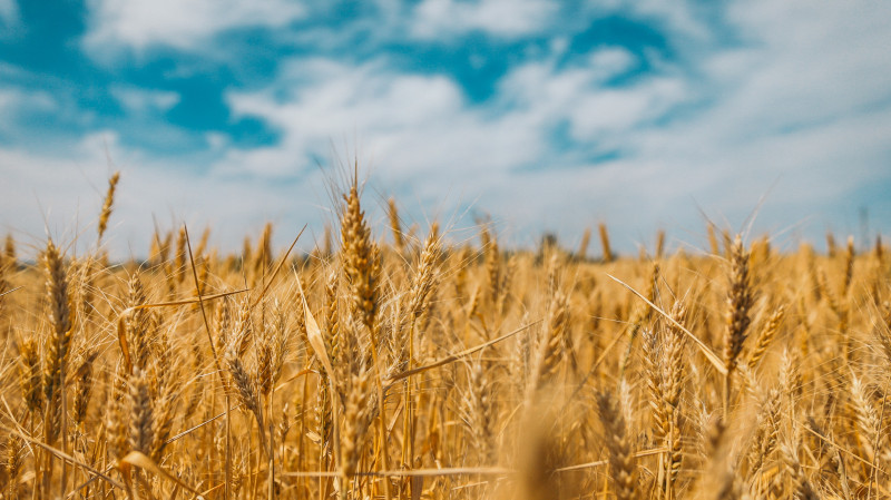 La guerra tra Russia e Ucraina inizia a mostrare i primi forti segni di ripercussione sul comparto agroalimentare italiano.Trusty è la società benefit che si impegna a portare a tutte le aziende italiane le innovazioni legate alla tracciabilità e alla trasparenza, anche attraverso l'uso di tecnologie come la Blockchain e l'Internet of Things ha deciso di scendere in campo al fianco dei produttori italiani. Le Aziende potranno provare gratuitamente la piattaforma al fine di sfruttare le tecnologie innovative per comunicare al consumatore in trasparenza e aumentare la visibilità delle filiere.