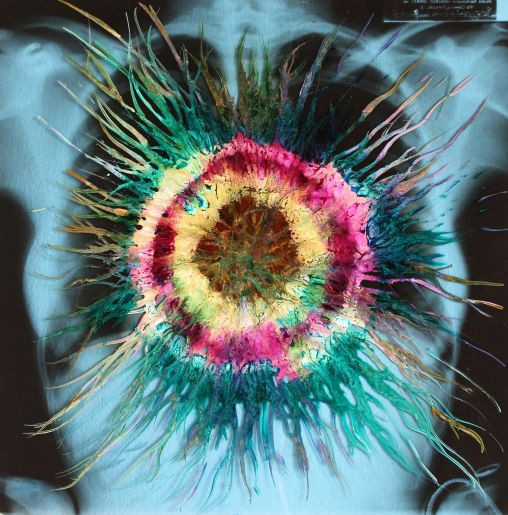 Mostra personale X-RAYS & sOuLrroundings di Federica Scoppa a cura di Arte Bellariva
inaugurazione 16 luglio ore 17, alla presenza del Sindaco Giampiero Fossi
Sala dell'Affresco, Comune di Signa Piazza della Repubblica 1, Signa (Firenze)
dal 17/7 al...