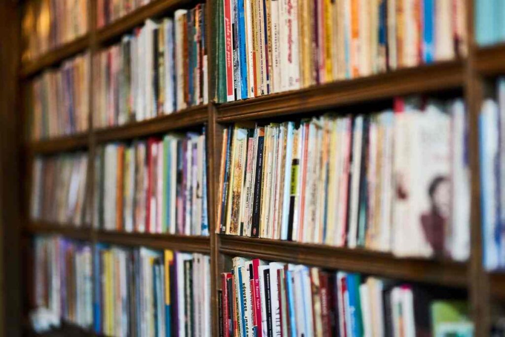 Aleksievič, Ishiguro ed Ernaux: sfioriamo i tre taglienti vertici di un triangolo epistemologico della memoria